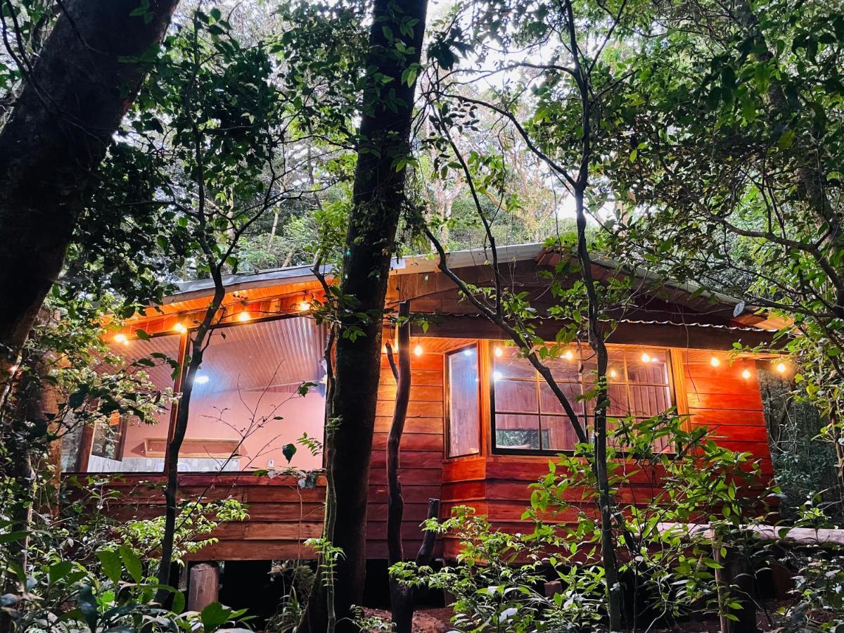 Cabanas La Montana Monteverde Esterno foto