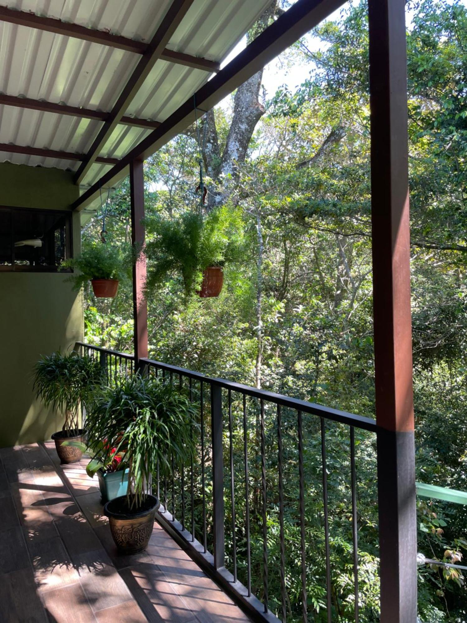 Cabanas La Montana Monteverde Esterno foto