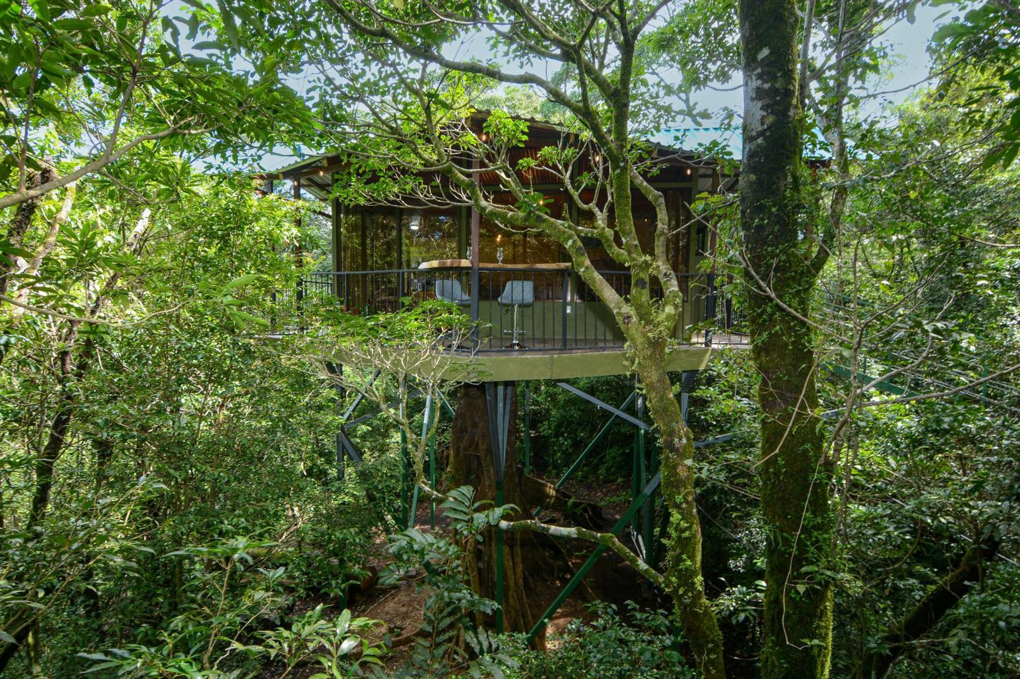 Cabanas La Montana Monteverde Esterno foto