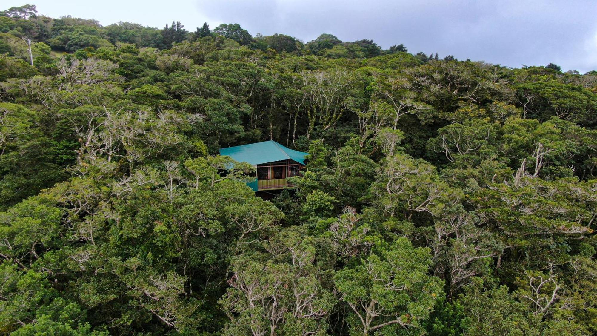 Cabanas La Montana Monteverde Esterno foto