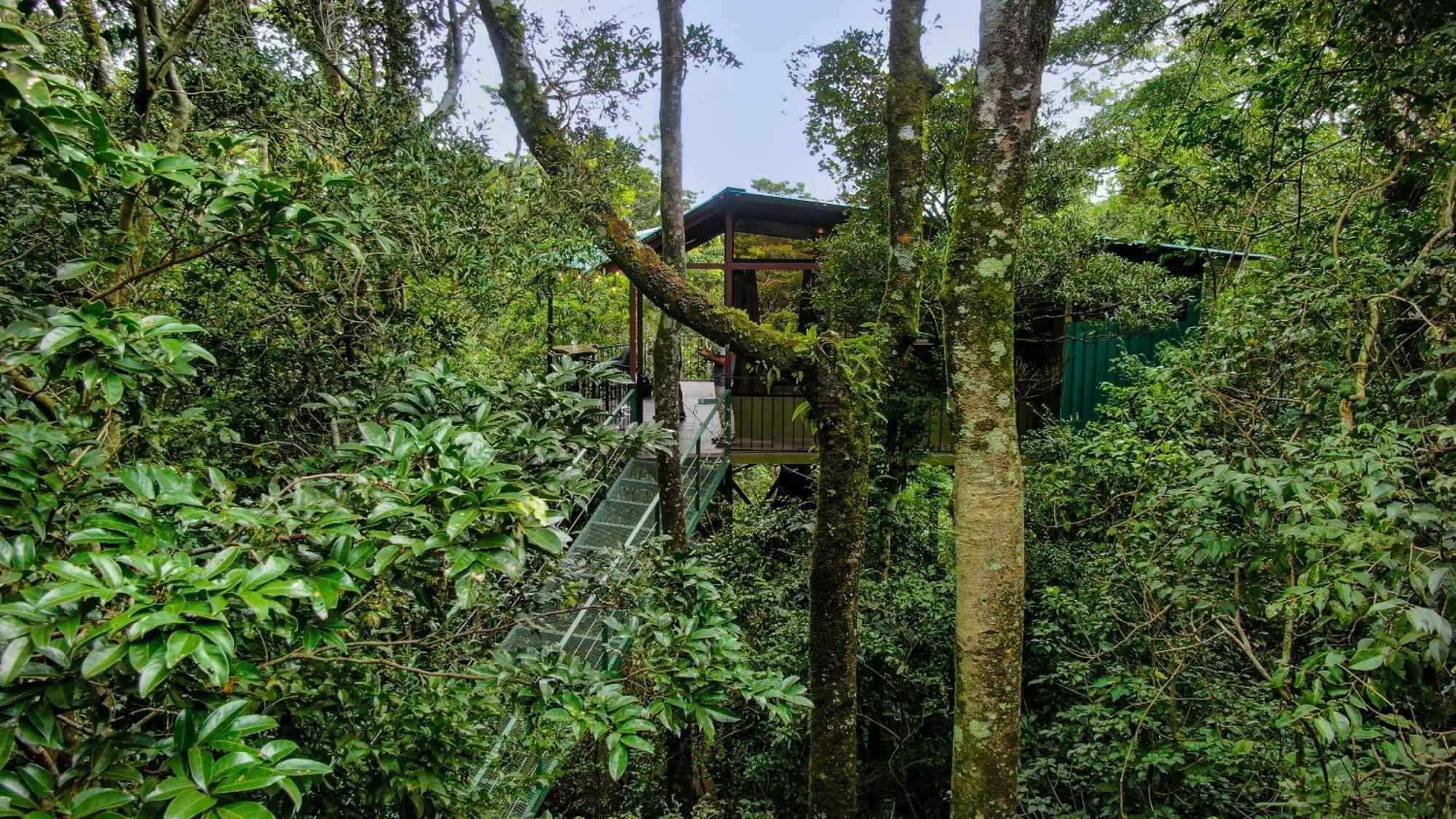 Cabanas La Montana Monteverde Esterno foto