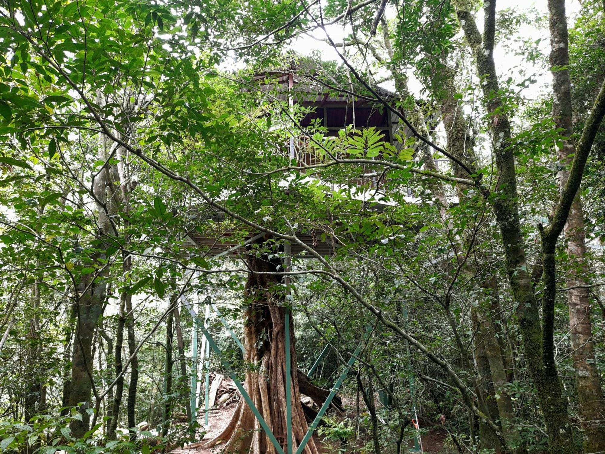 Cabanas La Montana Monteverde Esterno foto