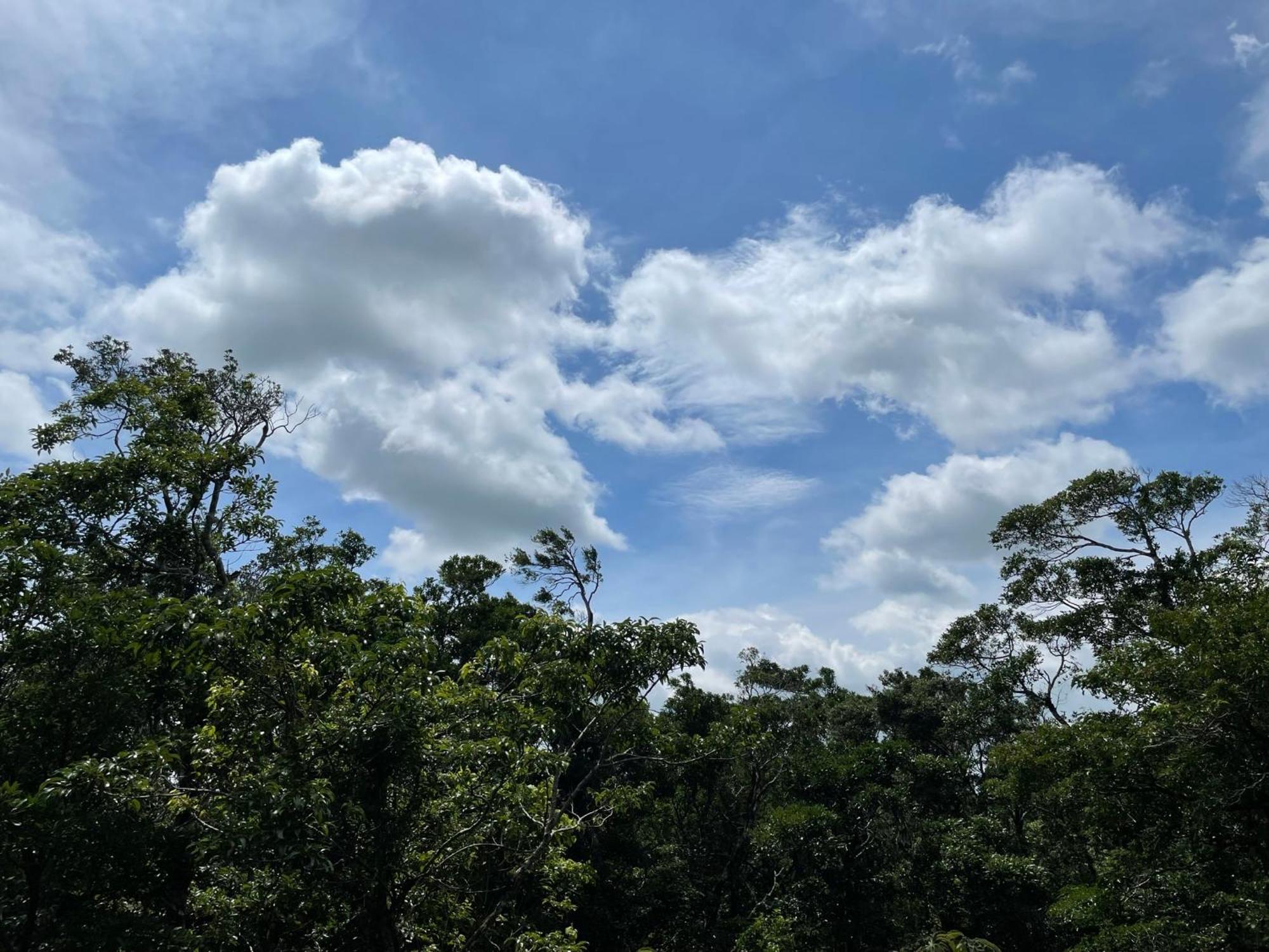 Cabanas La Montana Monteverde Esterno foto