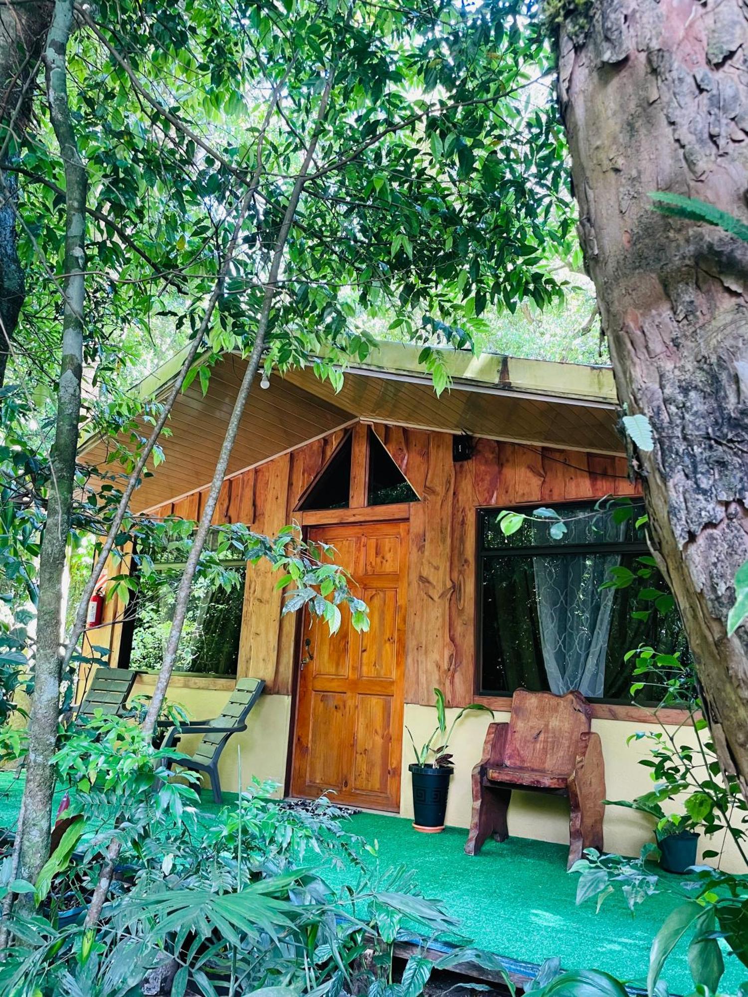 Cabanas La Montana Monteverde Esterno foto